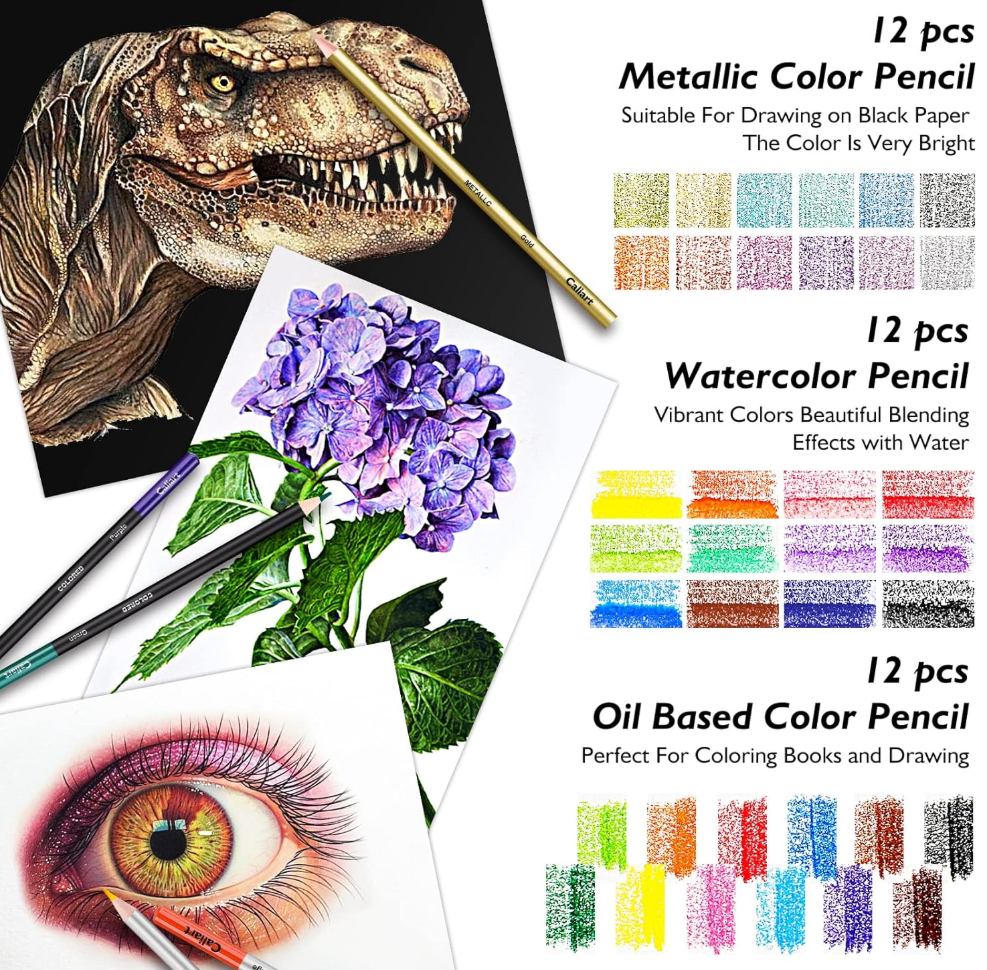 Caliart 176PCS Art Supplies Sketching Kit with 100 Sheets 3-Color Sketch Book, Graphite Colored Charcoal Watercolor & Metallic Pencils, Drawing Set Gifts for Adults Teens Girls Boys Kids