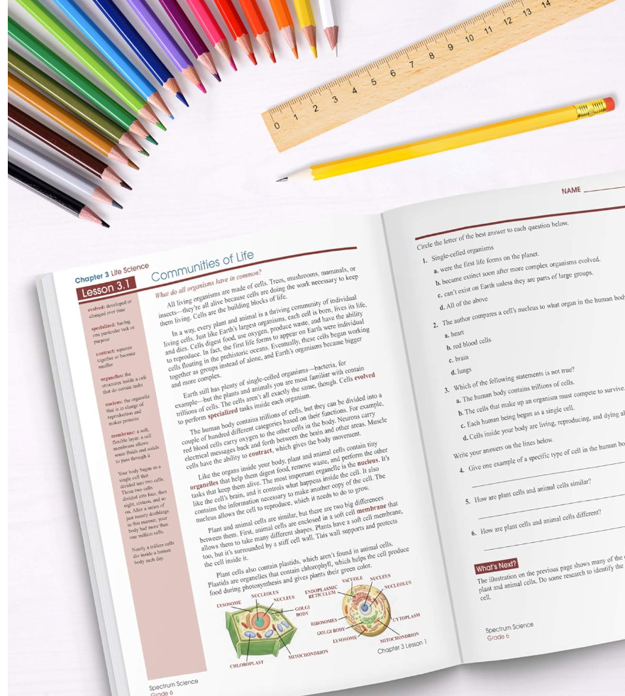 Spectrum Algebra 1 Workbook, Grades 6-8 Math Covering Algebra Equations, Fractions, Inequalities, Graphing, Rational Numbers, Classroom or Homeschool Curriculum